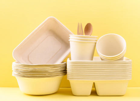 Top Disposable Plate Manufacturers And Suppliers in Arabia Top Disposable Plate Manufacturers And Suppliers in Arabia