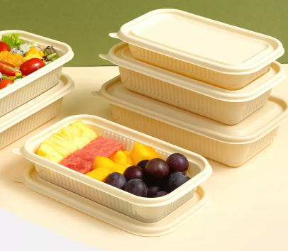 Top Disposable Lunch Box Manufacturers And Suppliers in Portugal Top Disposable Lunch Box Manufacturers And Suppliers in Portugal