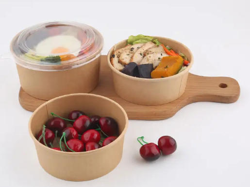 Top Paper Bowl Manufacturers And Suppliers in Germany Top Paper Bowl Manufacturers And Suppliers in Germany