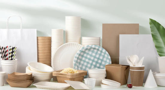 Top Disposable Dinnerware Manufacturers And Suppliers in Thailand Top Disposable Dinnerware Manufacturers And Suppliers in Thailand