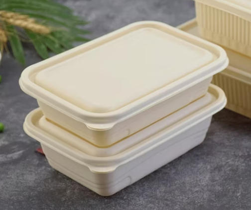 Top Disposable Lunch Box Manufacturers And Suppliers in Germany Top Disposable Lunch Box Manufacturers And Suppliers in Germany