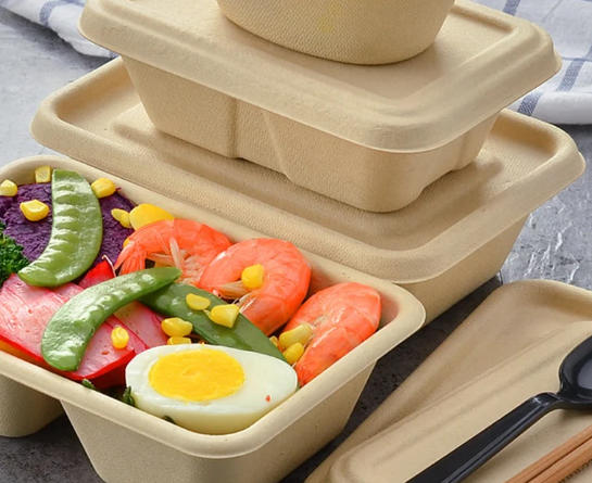 Top Disposable Lunch Box Manufacturers And Suppliers in Kazakhstan Top Disposable Lunch Box Manufacturers And Suppliers in Kazakhstan