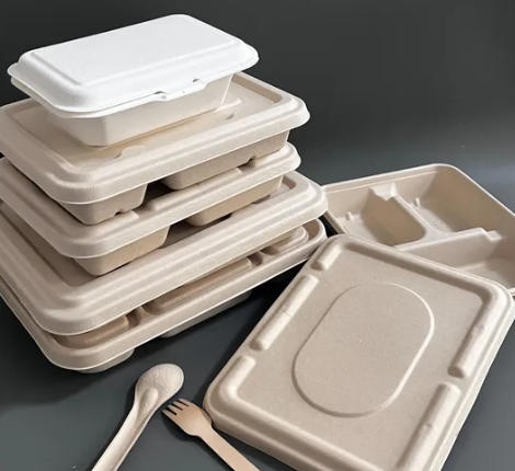 Top Disposable Bento Box Manufacturers And Suppliers in Philippines أفضل مصنعي وموردي علب بينتو التي يمكن التخلص منها في الفلبين