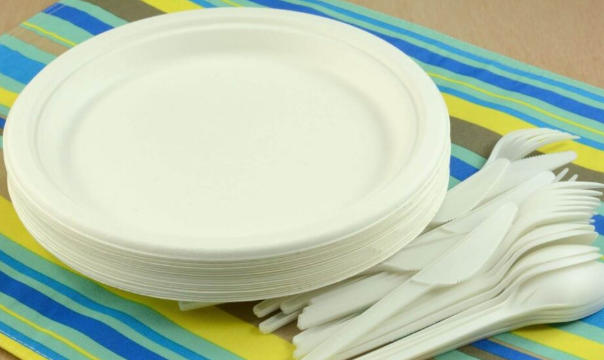 Top Disposable Dinnerware Manufacturers And Suppliers in Vietnam Нэг удаагийн виетнам дахь оройн хоолны сангийн үйлдвэрлэгч ба ханган нийлүүлэгчид