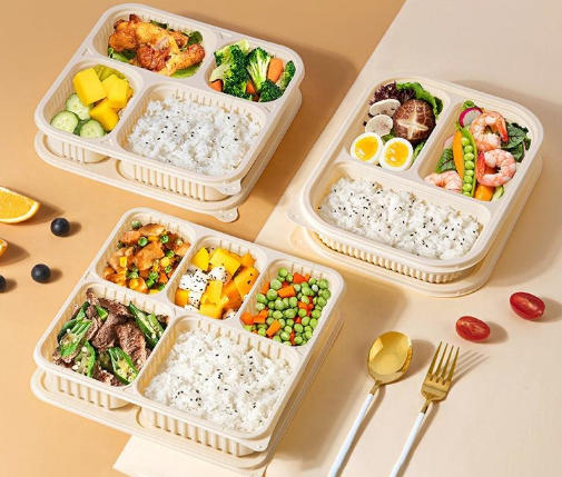 Top Disposable Lunch Box Manufacturers And Suppliers in Netherlands Top Disposable Lunch Box Manufacturers And Suppliers in Netherlands