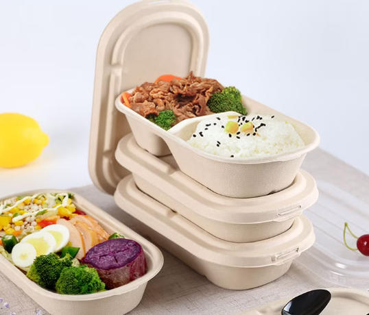 Top Disposable Lunch Box Manufacturers And Suppliers in Mongolia Top Disposable Lunch Box Manufacturers And Suppliers in Mongolia