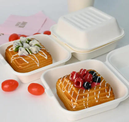 Top Disposable Bento Box Manufacturers And Suppliers in Malaysia Top Disposable Bento Box Manufacturers And Suppliers in Malaysia