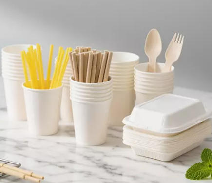 Top Disposable Cutlery Manufacturers And Suppliers in Mongolia Top Disposable Cutlery Manufacturers And Suppliers in Mongolia