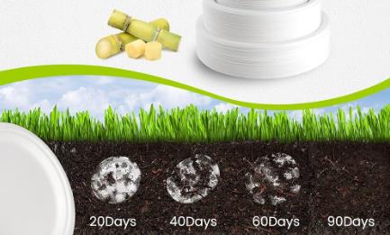 Make Eco Friendly Disposable Plates 1