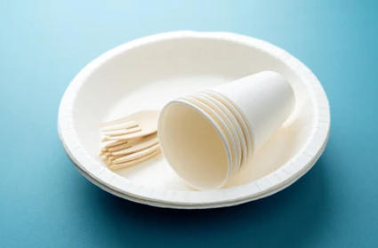 Top Paper Dish Manufacturers And Suppliers in Europe