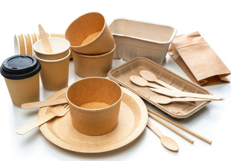 Disposable Tableware_3