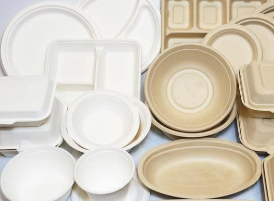 Custom Disposable Tableware Manufacturers