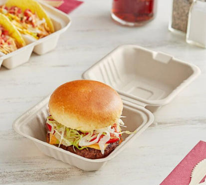 Top 10 Disposable Lunch Box Manufacturers in China