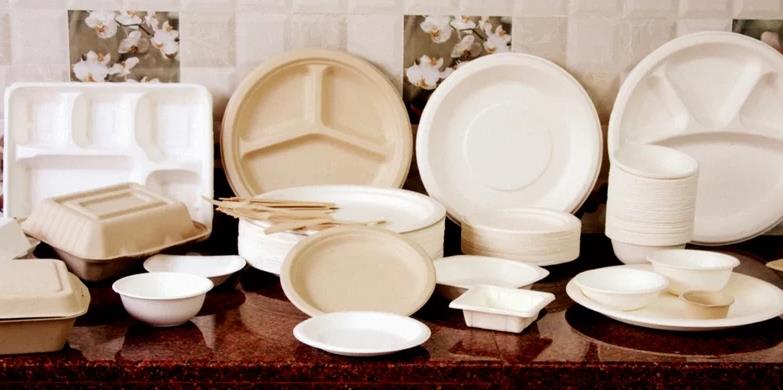 What Are Disposable Tableware Products