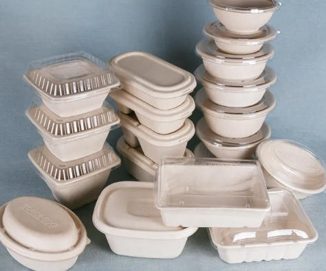 Philippines Disposable Container Manufacturers الفلبين مصنعي الحاويات القابل للتصرف