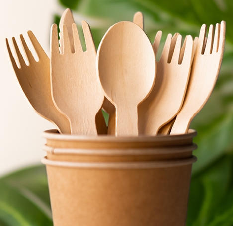 Custom Disposable Cutlery Poland