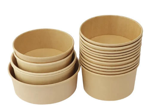 Custom Paper Bowl Manufacturers France