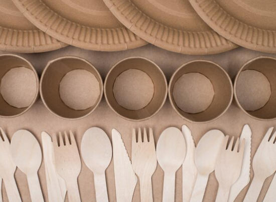 Top Disposable Tableware Manufacturers And Suppliers in South Korea