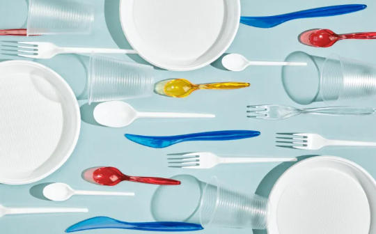 Top Disposable Tableware Manufacturers And Suppliers in Portugal