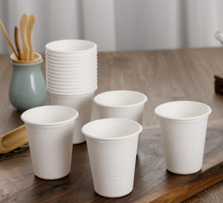 Disposable Food Packaging And Tableware Suppliers In Arabia