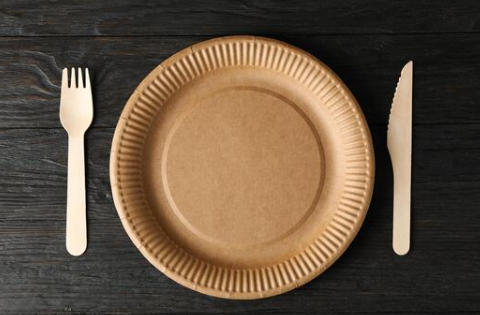 Biodegradable Paper Dishes Italy
