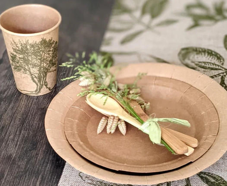 Top Disposable Dinnerware Manufacturers And Suppliers in Netherlands.jpg