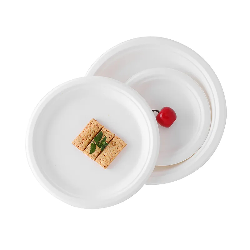 7 Inch Round Plate