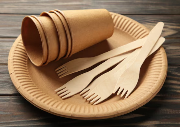 Disposable Tableware_3