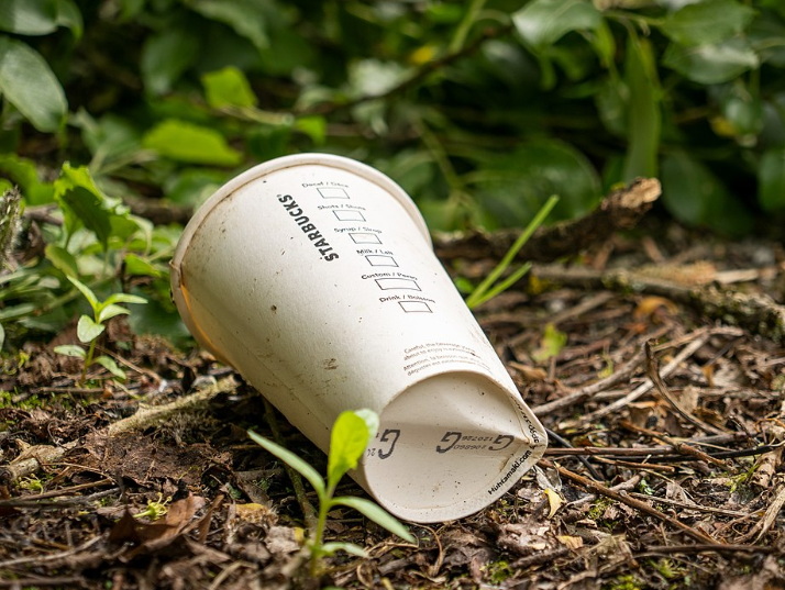 Are Disposable Cup Covers Environmentally Friendly?