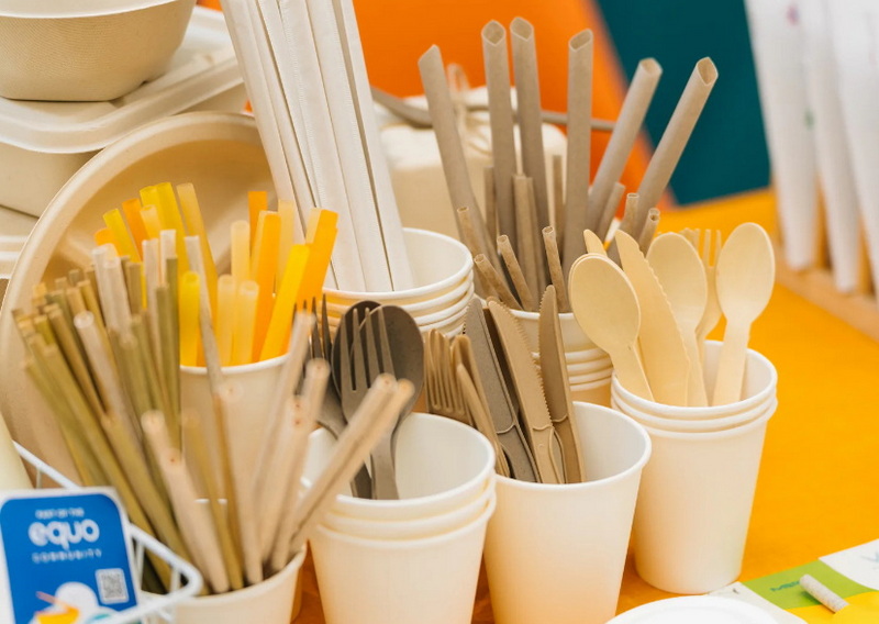 Why Should You Use Disposable Plate Covers for Your Events?
