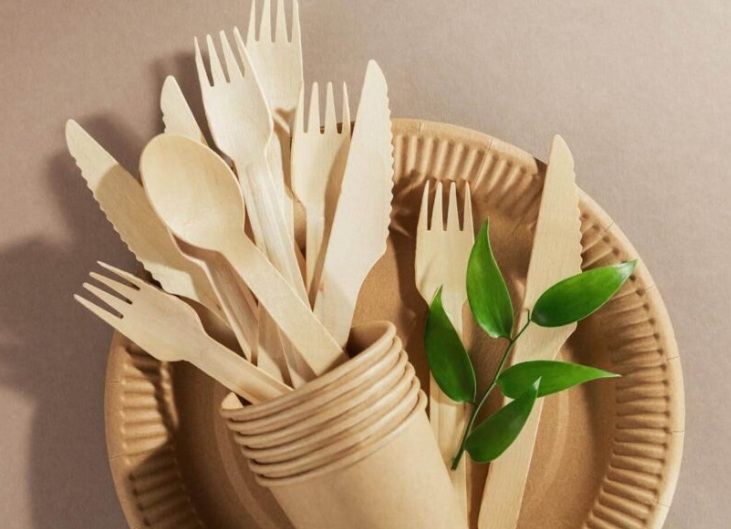 Disposable Tableware_1
