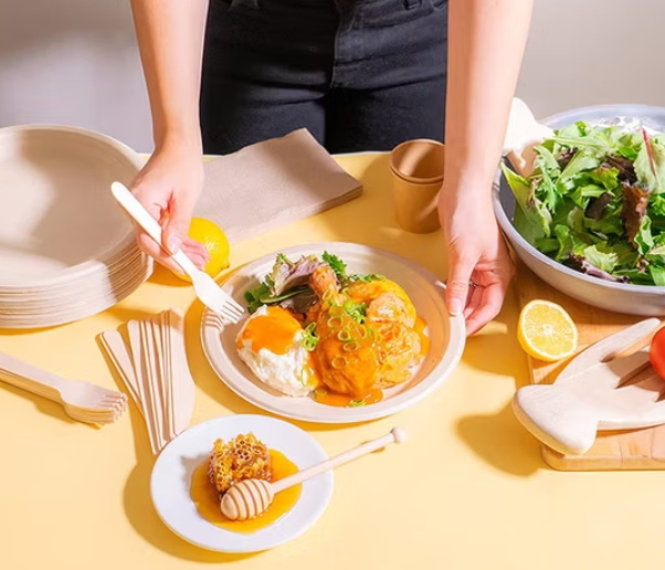 What Are The Benefits of Using Restaurant Disposable Plates for Fast Service?
