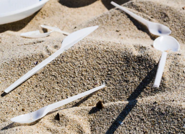 Disposable Spoons_1