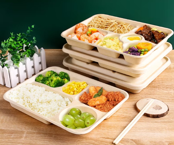 Which 5 Compartment Disposable Lunch Box Is Best for Portion Control?