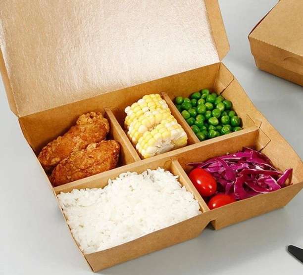 Disposable Bento Lunch Boxes_1