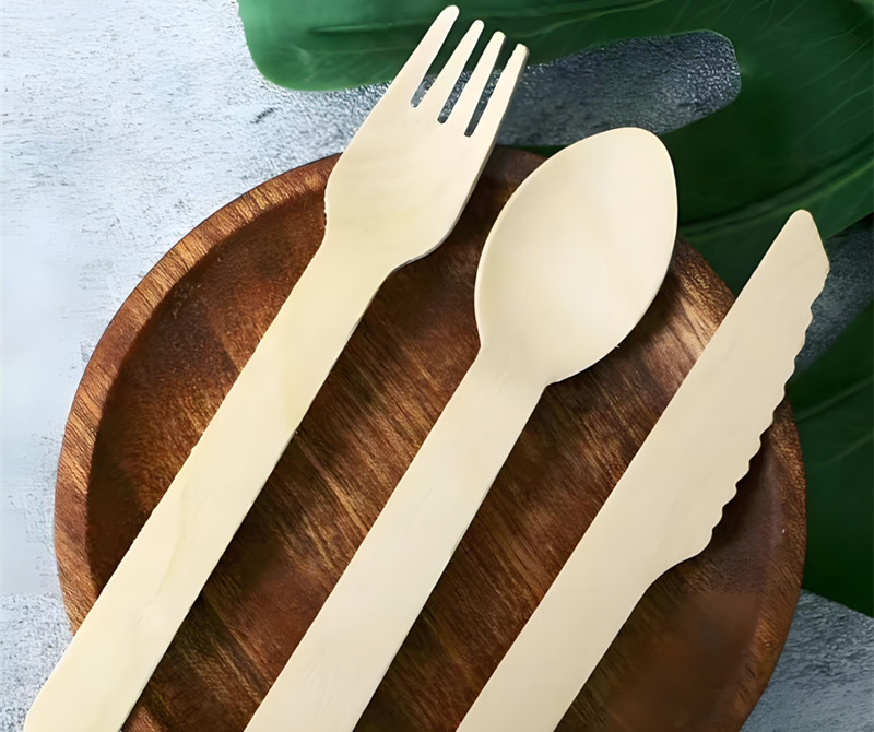 Disposable Cutlery custom