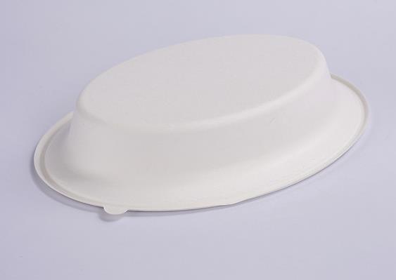 sugarcane bagasse disposable oval bowl 1