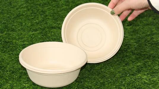 What Makes A High-Quality Biobased Disposable Bowl Factory Stand Out?