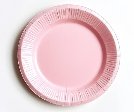 Top Paper Dish Manufacturers And Suppliers in Turkey.jpg