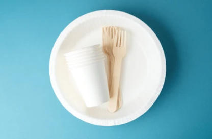 Premium Paper Dish Suppliers Europe