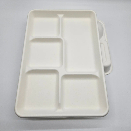 Big Size 5 Compartment Rectangular Plate