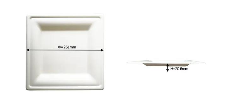 10 Inch Square Plate Size