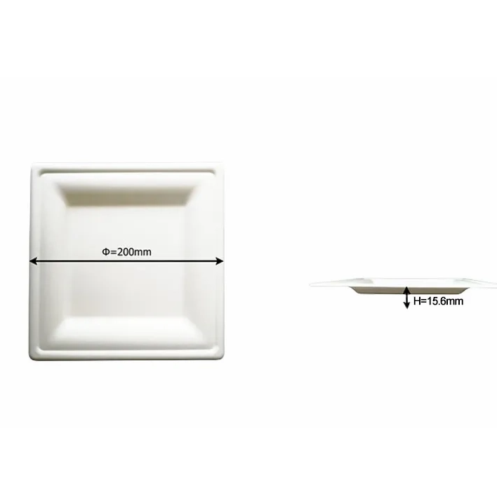 8 Inch Square Plate
