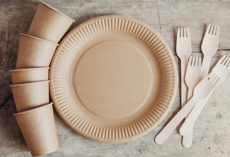 Disposable Plates_7