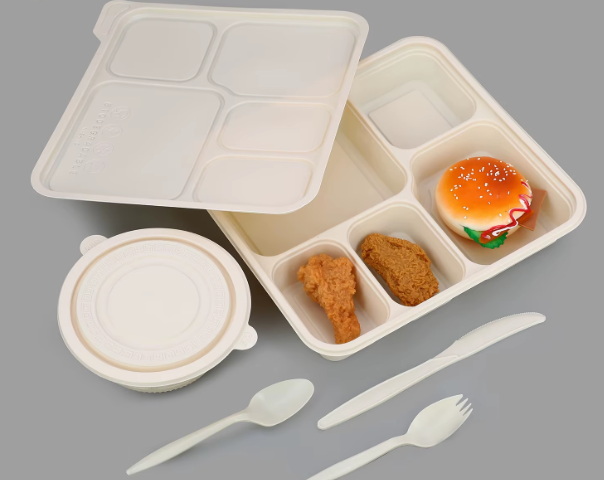 How To Find Affordable Disposable Lunch Boxes?