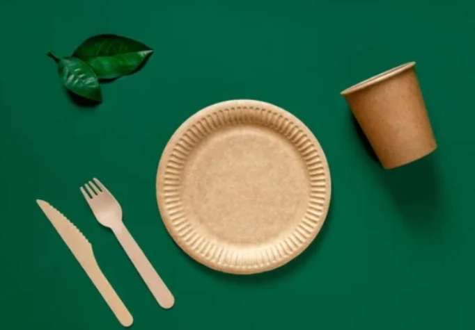 Top Disposable Tableware Manufacturers
