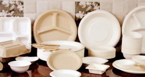 Top 10 Disposable Tableware Manufacturers in China