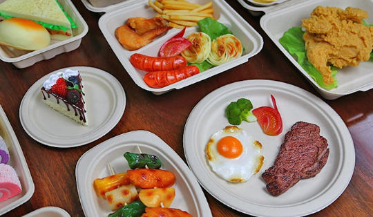 Top 10 Environmentally Friendly Disposable Plates Manufacturers in China