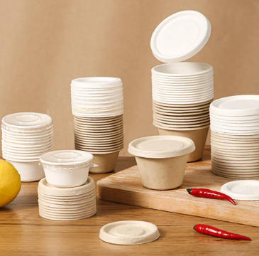 Eco-Friendly Disposable Tableware Eco-Friendly Disposable Tableware
