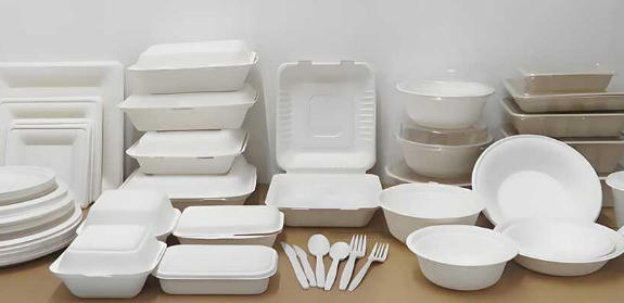 Biodegradable Dinnerware Set Wholesale